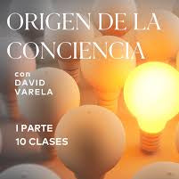 Seminario Orígenes de la Conciencia 2