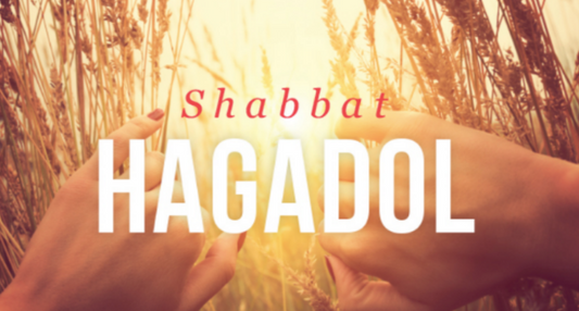 Shabbat HaGadol (Solo Conexiones)